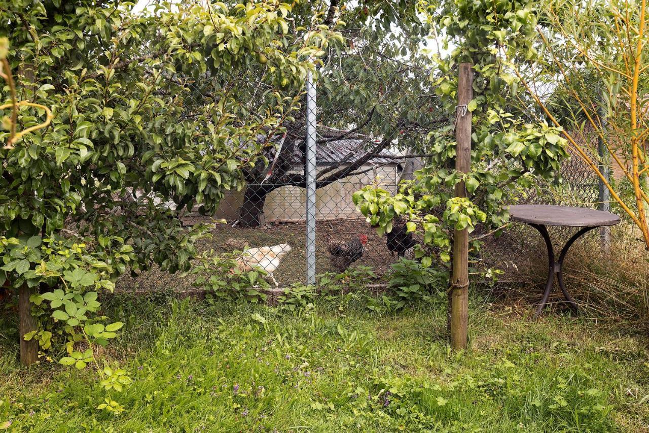 Ferienwohnung zum Haselbach Weilheim Exterior foto